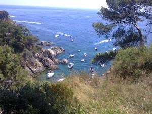 cala