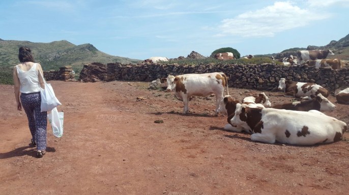 Camí de Cavalls